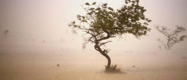 Sandstorm in the Sahel © P. Dugué, CIRAD